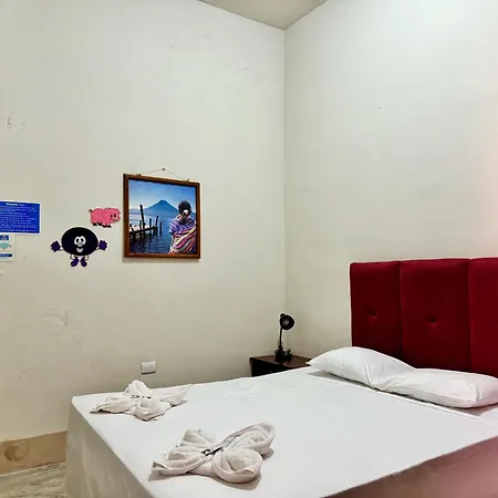 Hostal Los Girasoles By Hostal Inn Flores Exterior photo